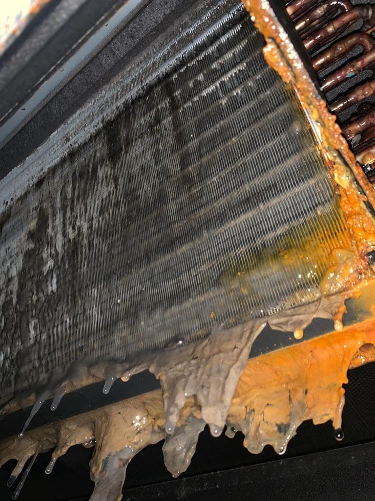 Heavy orange-brown sludge and biofilm dripping from evaporator coil during chemical overhaul
